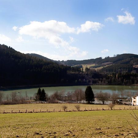 Апартаменты Fewo Hoher Eimberg Niedersfeld Винтерберг Экстерьер фото
